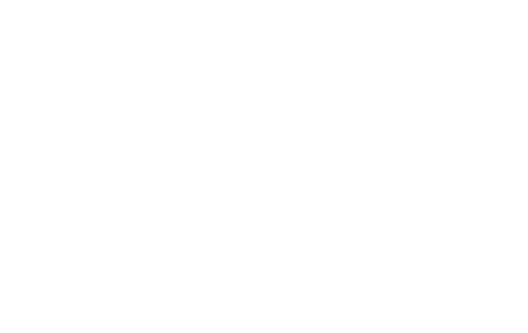 العنفوان لاستيراد المواد الغذائية